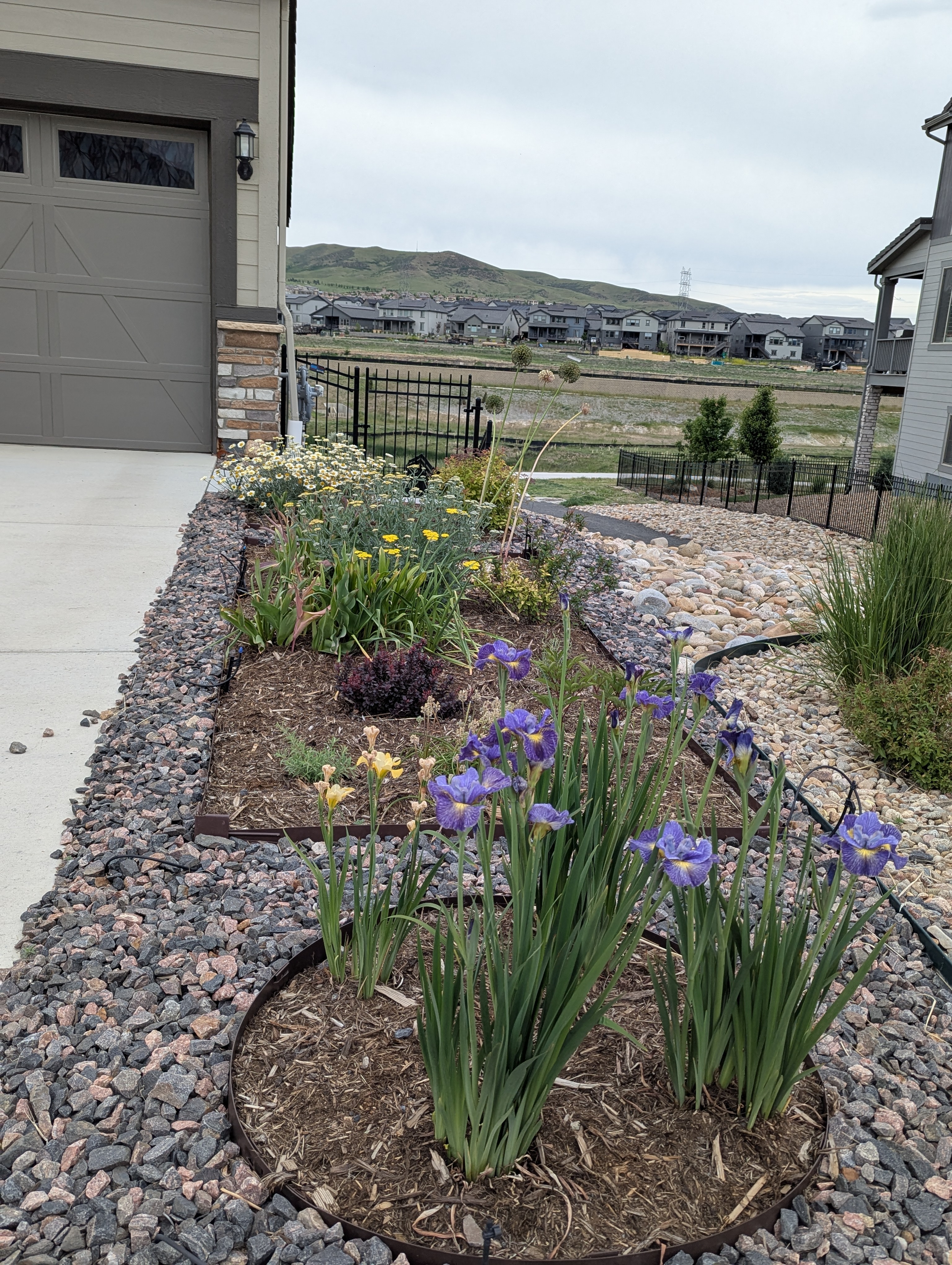 Garden, Flowers, Morrison, Colorado